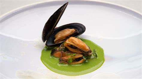 Mussels, Blue | Mytilus edulis | Seafood from Canada