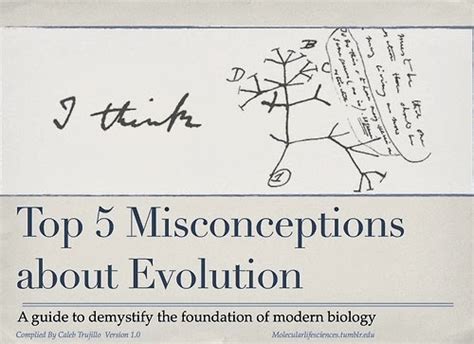 Infographic: 5 Common Myths about Evolution - Science in the City