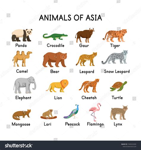 Animals Asia Panda Crocodile Tiger Camel Stock Vector (Royalty Free) 1949525095 | Shutterstock