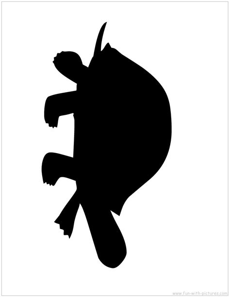 Tortoise Silhouette