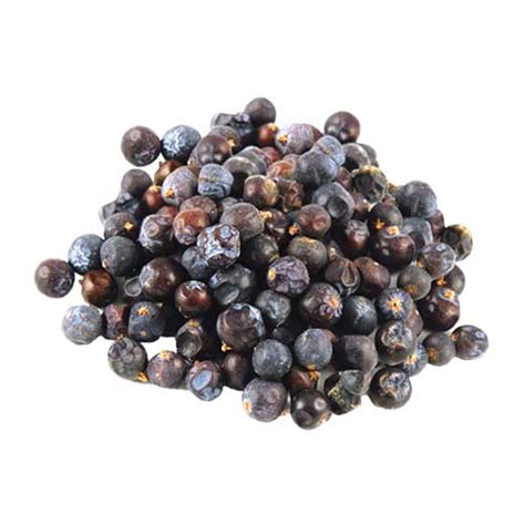 JUNIPER BERRIES - Durvesh Insternational