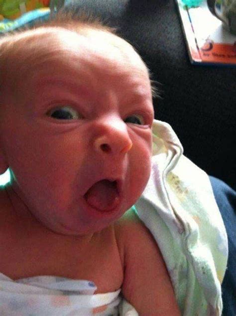 The Greatest Baby Selfies Ever | Baby jokes, Funny babies, Funny baby pictures