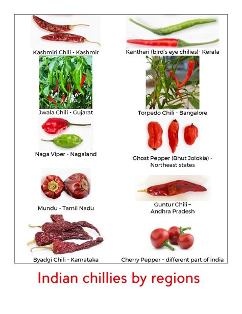 Indian Chillies Types with region | Chilli plant, Stuffed peppers, Chilli