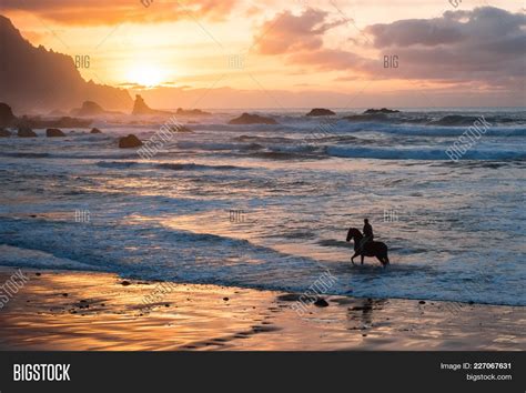 Beautiful Beach Sunset Horse