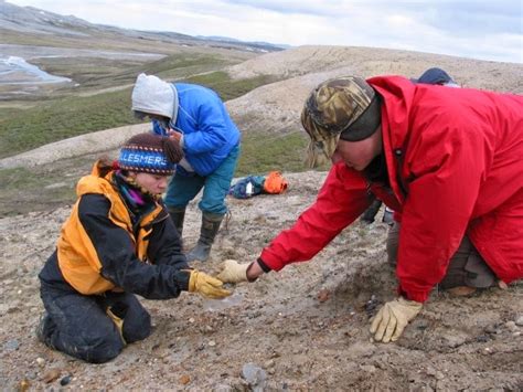 Ancient Arctic sharks tolerated brackish water 50 million years ago | Geology Page