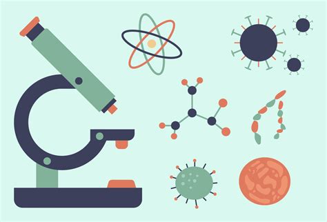 Biology Vector Art, Icons, and Graphics for Free Download