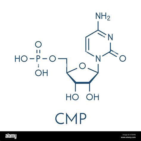 Cytidine hi-res stock photography and images - Alamy