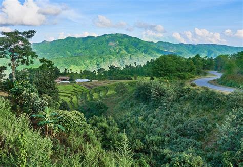 Keibul Lamjao National Park, Manipur Keibul Lamjao Wildlife