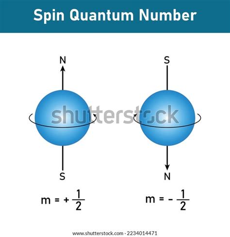 Spin Quantum Number Electron Spin Scientific Stock Vector (Royalty Free) 2234014471 | Shutterstock