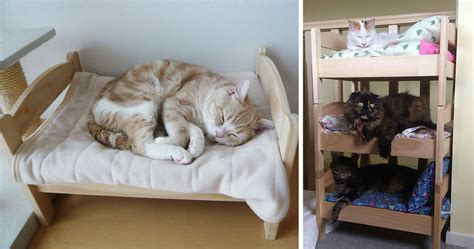 Japanese Cat Owners Re-Purposed IKEA's Doll Beds For Cats | DeMilked