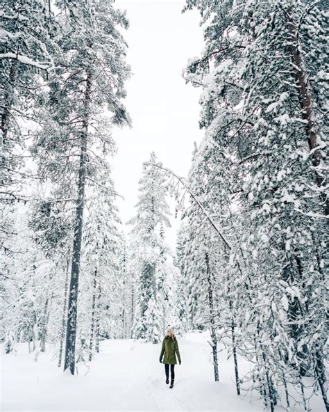 Winter Wonderland in Lapland, Finland - Find Us Lost