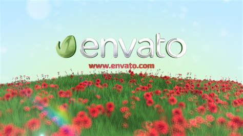 flower field logo reveal, After Effects Project Files | VideoHive