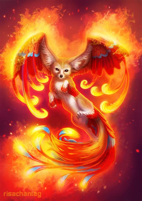 Phoenix Fox Picture, Phoenix Fox Image