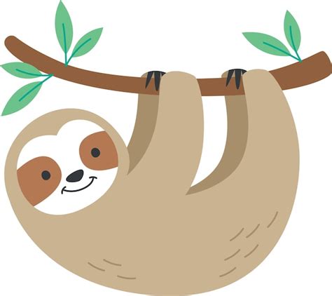 Premium Vector | Sloth hanging on tree