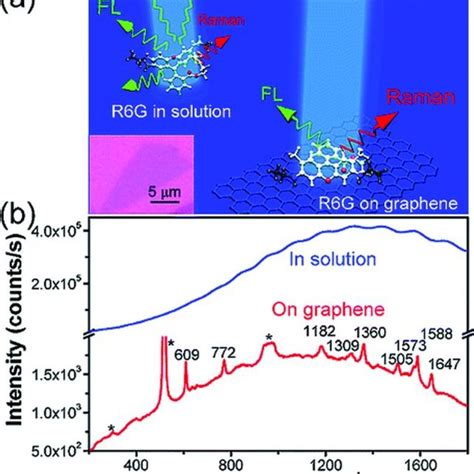 (PDF) Enhanced Raman Scattering on Graphene and Beyond