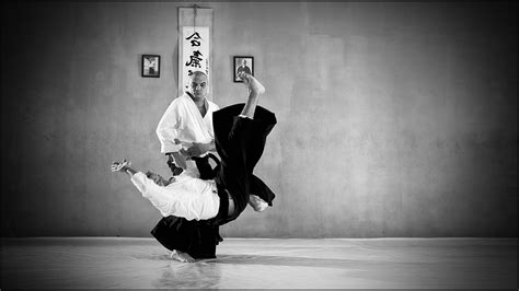 Aikido Wallpapers - Top Free Aikido Backgrounds - WallpaperAccess