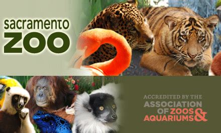 Sacramento Perks - $25 For Four Tickets To The Sacramento Zoo! - NorCal Coupon Gal