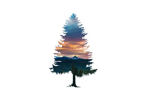 Tree Abstract Nature 5k, HD Abstract, 4k Wallpapers, Images, Backgrounds, Photos and Pictures