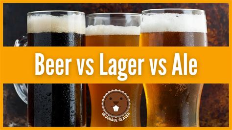 Beer vs Lager vs Ale | An Easy Guide To Understanding The Difference - BeverageBeaver.com