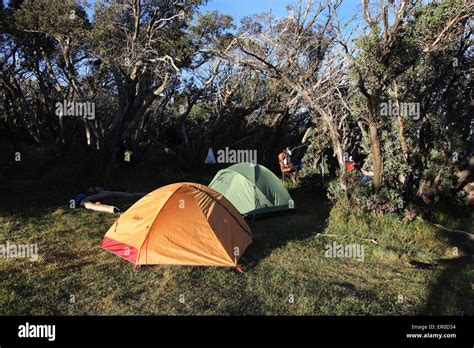 Camping in the Victorian Alps, Australia Stock Photo - Alamy