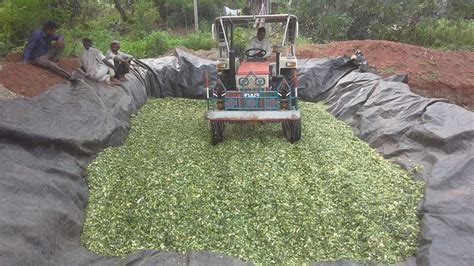 Silage making process | Agricultural solution centre