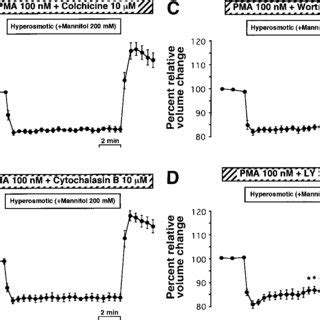 Effects of hyperosmotic mannitol solution on cell volume in isolated... | Download Scientific ...