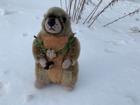 Groundhog Day: Stuffed toy ‘predicts’ early spring for Okanagan ...