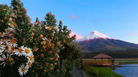 Cotopaxi Volcano Wallpapers - Wallpaper Cave