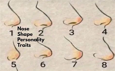 Nose shape personality traits: Know your personality from your nose shape