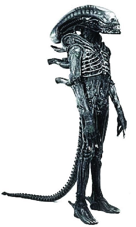 Giger's original Alien design (Xenomorph). Image extracted from... | Download Scientific Diagram