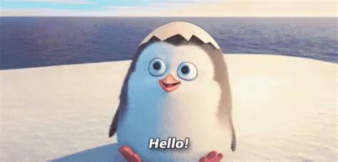 Hello Penguin GIF - Hello Penguin Penguins - Discover & Share GIFs