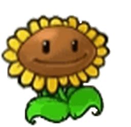 Sunflower Pvz Sticker - Sunflower Pvz Plants Vs Zombies - Discover & Share GIFs