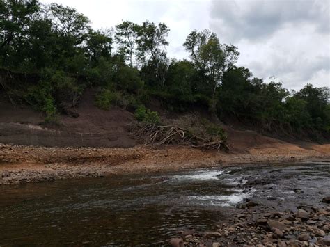 Fly Fishing on the Arapey River in Uruguay - Articles | Fly dreamers