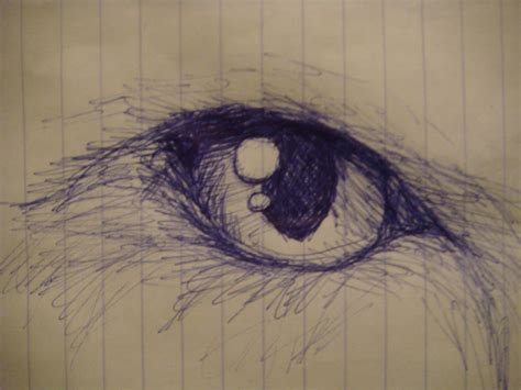 Cat Eye Sketch by polarbears101 on DeviantArt