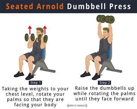 Arnold Dumbbell Press (Arnold Press): What is it, How to do, Form