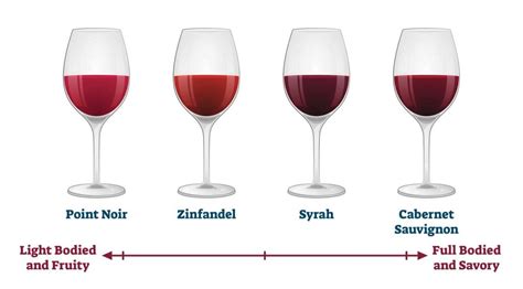 Discover the Different Types of Red Wine - Beer & Wine Guide