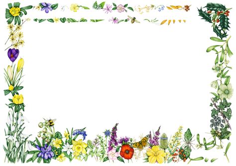 Wildflower border - Lizzie Harper