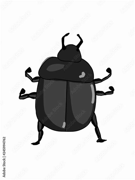 cartoon dung beetle standing Stock Illustration | Adobe Stock