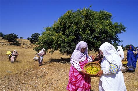 Argan Origin story | Naissance – Naissance UK