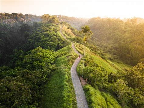 The Campuhan Ridge Walk in Ubud - A Complete Guide - Omnivagant