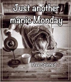 360 Manic Mondays ideas in 2023 | monday humor, manic monday, monday quotes