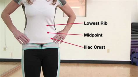 Bmi Waist Circumference And Waist Hip Ratio - Aljism Blog