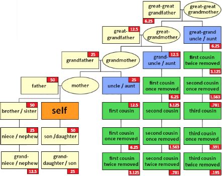 Consanguinity Degrees, Tables & Impact | Study.com