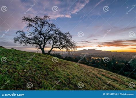 Sunrise Over Mount Diablo and the East Bay Stock Image - Image of golden, bridge: 141502759