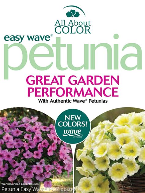 17+ Wave Petunia Colors - RaseannDubem