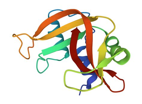 Possibilities with RNase inhibitors by Solis BioDyne