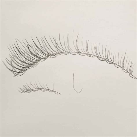 How to Draw Eyelashes - 4 Easy Steps - basicdraw.com