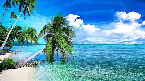 🔥 [67+] Tropical Beach Desktop Wallpapers | WallpaperSafari