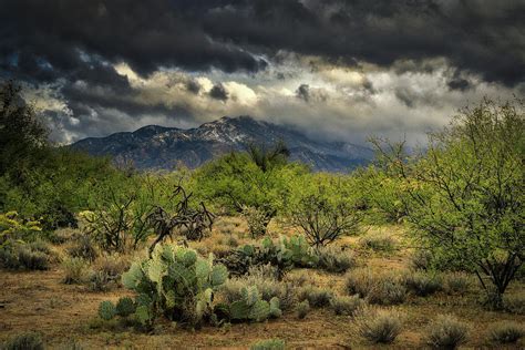 Santa Rita Mountains Winter Photograph by Chance Kafka