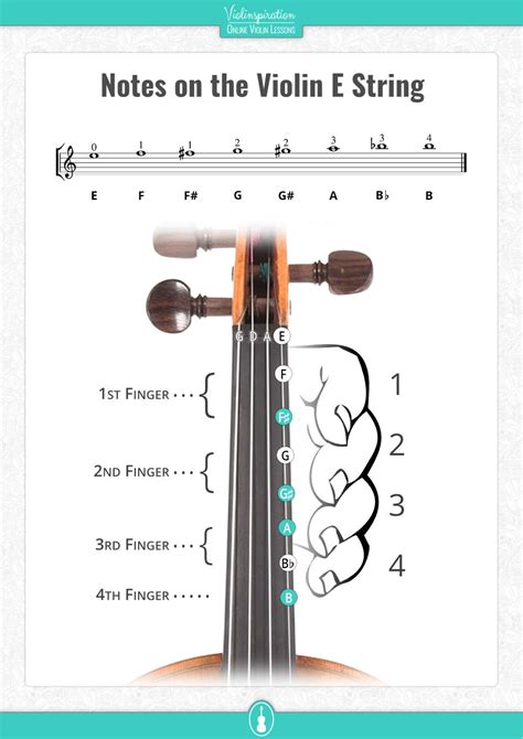 All Violin Notes on the E String [with Easy PDF Chart] - Violinspiration